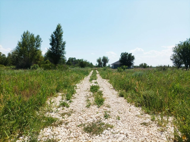 Купить земельный участок в Волгоградской области. Вариант № 201774, 4, площадь -  квм, цена 850000 рублей