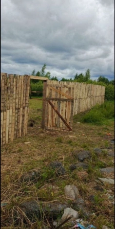 Купить земельный участок в Тобольске. Вариант № 3765925, 1, площадь -  квм, цена 450000 рублей