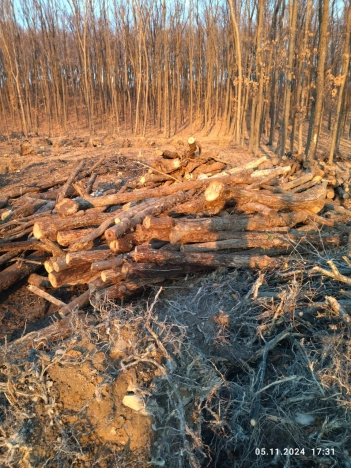 Купить земельный участок в Арсеньеве. Вариант № 1296890, 1, площадь -  квм, цена 2450000 рублей
