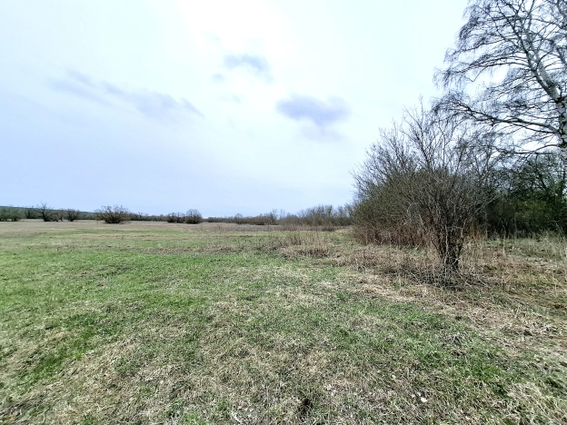 Купить земельный участок в Пензе. Вариант № 35069, 0, площадь -  квм, цена 970000 рублей