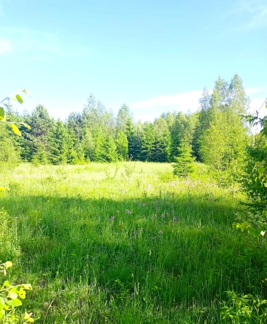 Купить земельный участок в Обнинске. Вариант № 8675, 0, площадь -  квм, цена 1100000 рублей