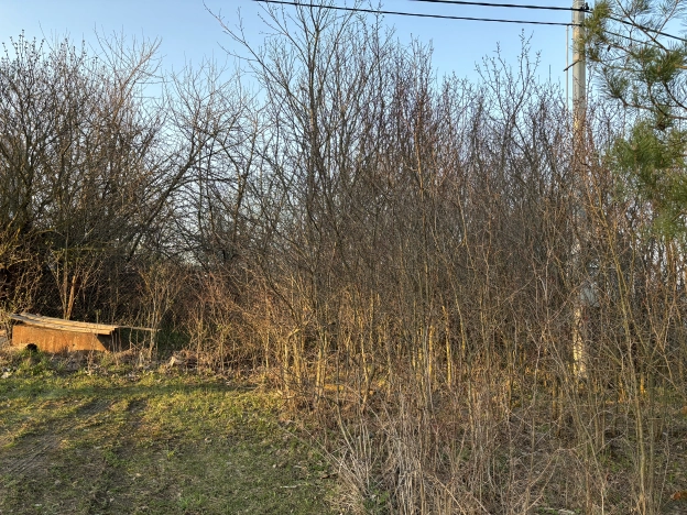 Купить земельный участок в Коломне. Вариант № 22983, 5, площадь -  квм, цена 590000 рублей