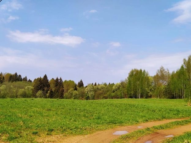 Купить земельный участок в Краснозаводске. Вариант № 972, 1, площадь -  квм, цена 1100000 рублей