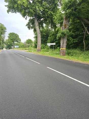 Купить земельный участок в Калининграде. Вариант № 15161, 0, площадь - квм, цена 7000000 рублей