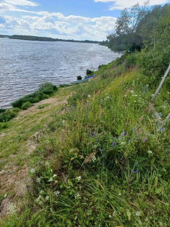 Купить земельный участок в Гороховеце. Вариант № 2711, 1, площадь -  квм, цена 11900000 рублей