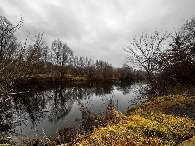 Купить земельный участок в Нижнем Новгороде. Вариант № 9966178, 2, площадь -  квм, цена 2550000 рублей