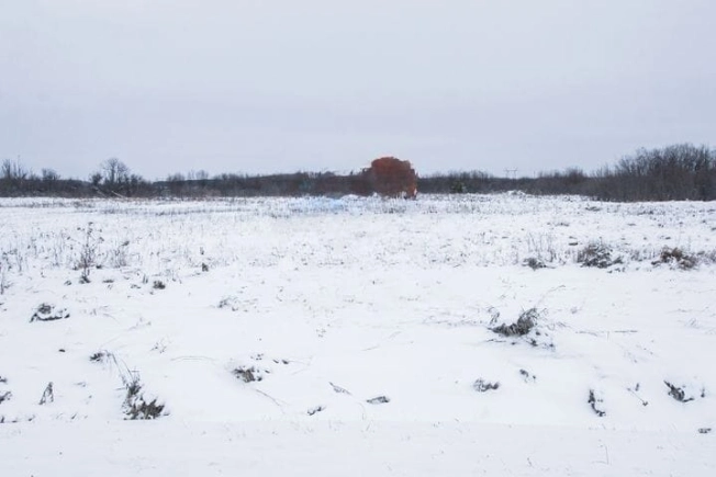 Купить земельный участок в Тобольске. Вариант № 20048, 3, площадь -  квм, цена 350000 рублей