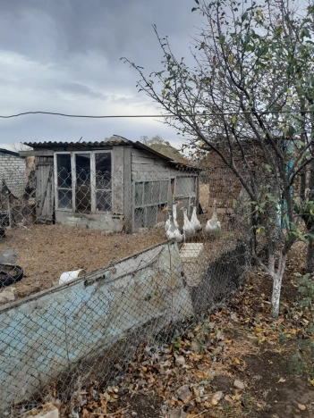 Купить дом в Элисте. Вариант № 281625, 28, площадь -  квм, цена 1800000 рублей