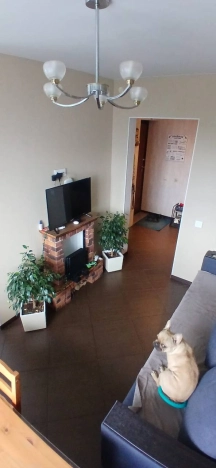 Купить пятикомнатную квартиру в Нижегородской области. Вариант № 9012520, 6, площадь -  квм, цена 6000000 рублей