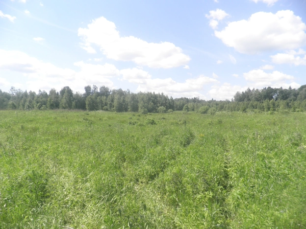 Купить земельный участок в Смоленской области. Вариант № 27868, 1, площадь -  квм, цена 500000 рублей