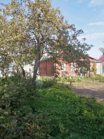 Купить дом в Тейкове. Вариант № 55626, 2, площадь -  квм, цена 3700000 рублей