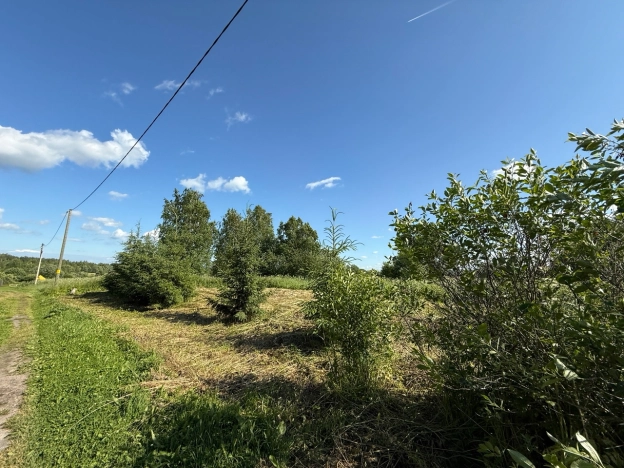 Купить земельный участок в Вологодской области. Вариант № 61367, 2, площадь -  квм, цена 300000 рублей