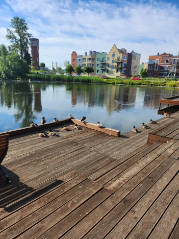 Купить однокомнатную квартиру на улице Верхняя в Ленинградской области. Вариант № 6886374, 0, площадь -  квм, цена 5800000 рублей