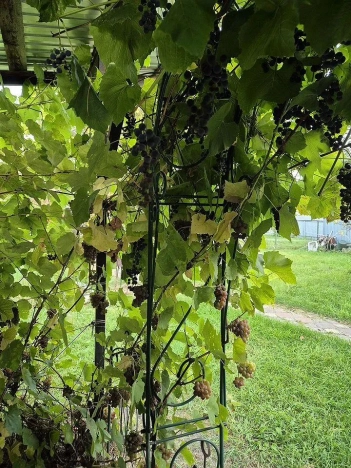 Купить дом в Коломне. Вариант № 9451971, 9, площадь -  квм, цена 6700000 рублей