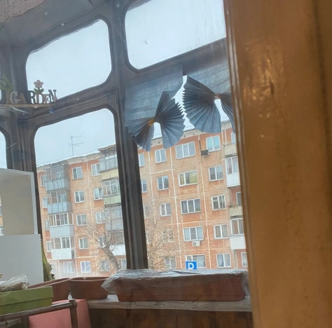 Купить трехкомнатную квартиру в Новосибирской области. Вариант № 9935229, 22, площадь -  квм, цена 4500000 рублей