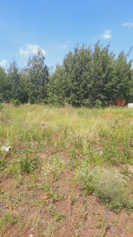 Купить земельный участок в Воронеже. Вариант № 273992, 4, площадь -  квм, цена 4200000 рублей