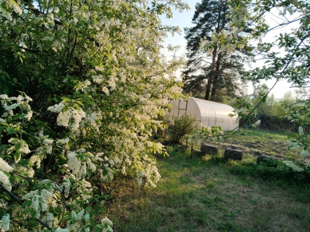 Купить дом в Иркутской области. Вариант № 5755, 34, площадь -  квм, цена 800000 рублей