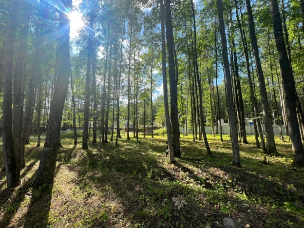 Купить земельный участок в Москве. Вариант № 3441088, 6, площадь -  квм, цена 5790000 рублей