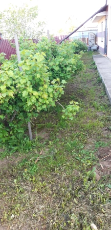 Купить дом в Владимире. Вариант № 7310, 44, площадь - квм, цена 9100000 рублей