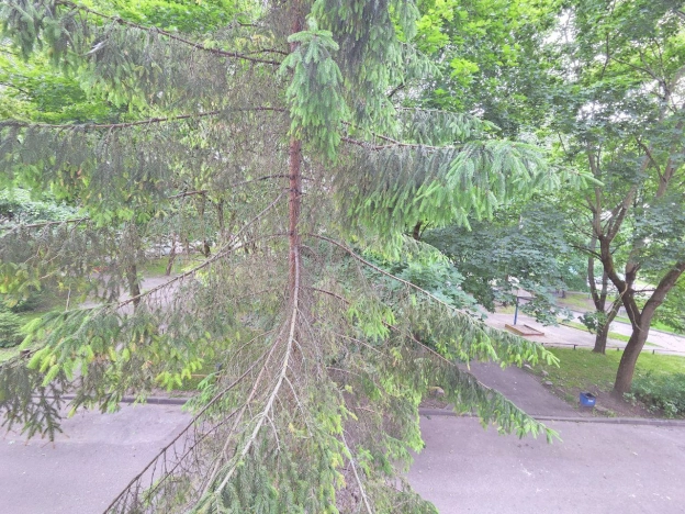 Купить двухкомнатную квартиру в районе Московский в Калининграде. Вариант № 48369, 18, площадь -  квм, цена 4999999 рублей