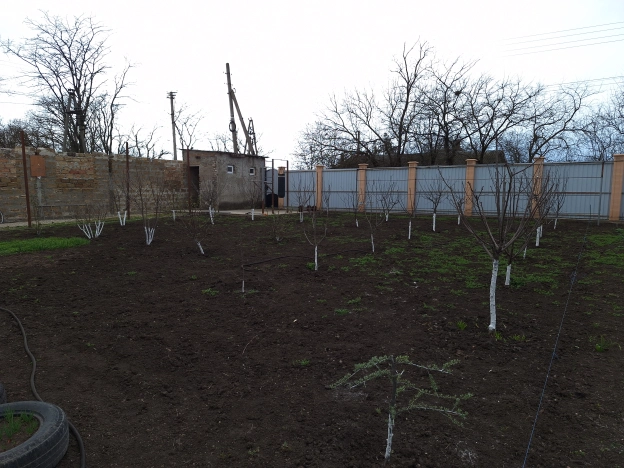 . Вариант № 7920, 15, площадь - 85 квм, цена 7200000 рублей