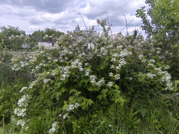 Купить дачу в Калуге. Вариант № 51217, 14, площадь -  квм, цена 597000 рублей