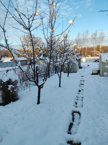 Купить дом на улице Пушкина в Владимире. Вариант № 6913396, 16, площадь -  квм, цена 3150000 рублей