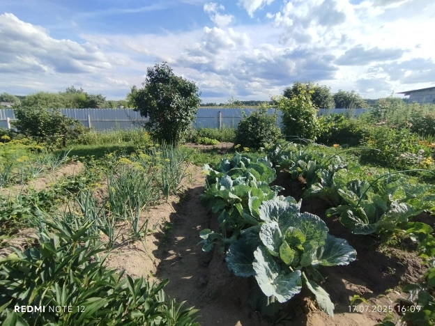 Купить дом на улице Кирова в Нижегородской области. Вариант № 479601, 23, площадь -  квм, цена 2550000 рублей