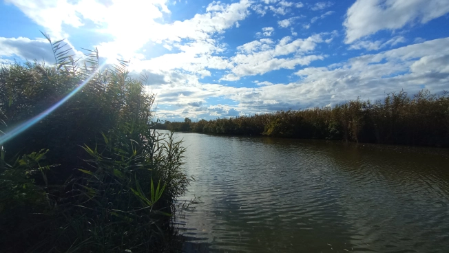 Купить дом на улице Васильковая в Краснодарском крае. Вариант № 6798454, 6, площадь -  квм, цена 1500000 рублей