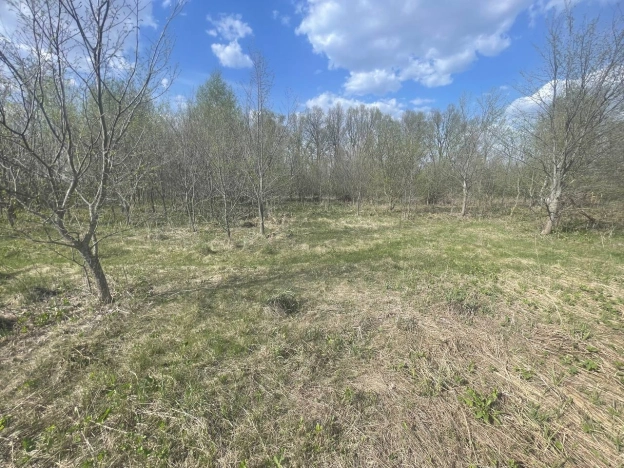 Купить земельный участок на улице 2-й проезд Добролюбова в Пензе. Вариант № 38596, 2, площадь -  квм, цена 700000 рублей