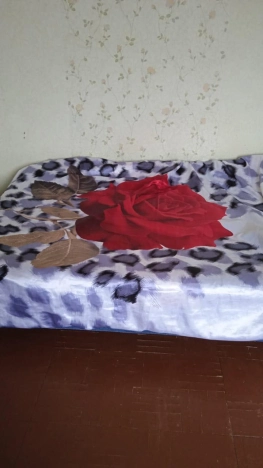 Снять квартиру в Тобольске. Вариант № 9359061, 0, площадь -  квм, цена 25000 рублей