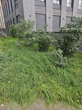 Купить квартиру в Москве. Вариант № 10278596, 2, площадь -  квм, цена 21499000 рублей