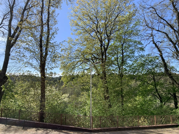 Купить двухкомнатную квартиру в Светлогорске. Вариант № 1006, 5, площадь -  квм, цена 20500000 рублей