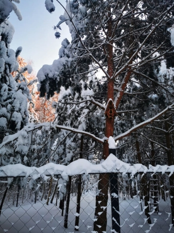 Купить земельный участок в Раменском. Вариант № 29745, 8, площадь -  квм, цена 4700000 рублей