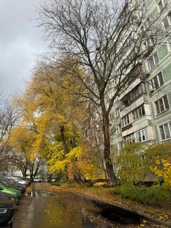 Купить квартиру в Москве. Вариант № 8334452, 17, площадь -  квм, цена 16500000 рублей