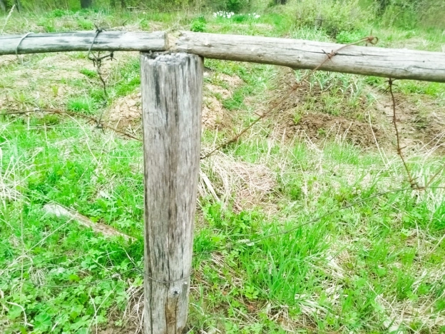 Купить земельный участок в Вологодской области. Вариант № 49160, 3, площадь -  квм, цена 350000 рублей