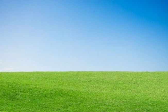 Купить земельный участок в Челябинской области. Вариант № 2702207, 3, площадь -  квм, цена 3490000 рублей