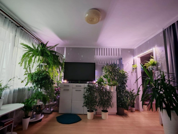 Купить квартиру в Белгороде. Вариант № 7838156, 4, площадь -  квм, цена 4600000 рублей