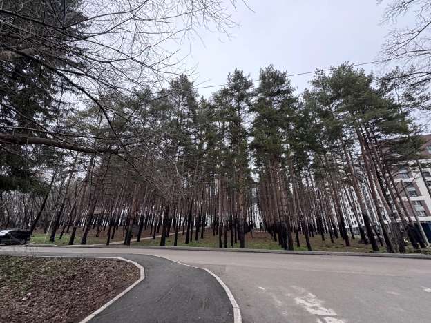 Купить квартиру на улице Льва Толстого в Уфе. Вариант № 10005811, 15, площадь - квм, цена 14700000 рублей