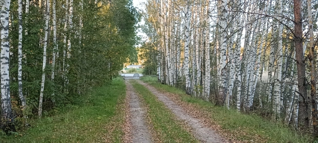 Купить земельный участок в Коврове. Вариант № 22890, 2, площадь -  квм, цена 350000 рублей