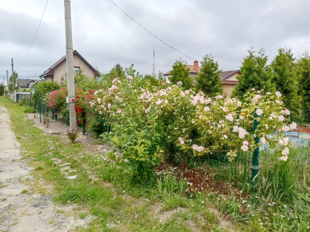 Купить дом в Зеленоградске. Вариант № 60949, 25, площадь -  квм, цена 5500000 рублей