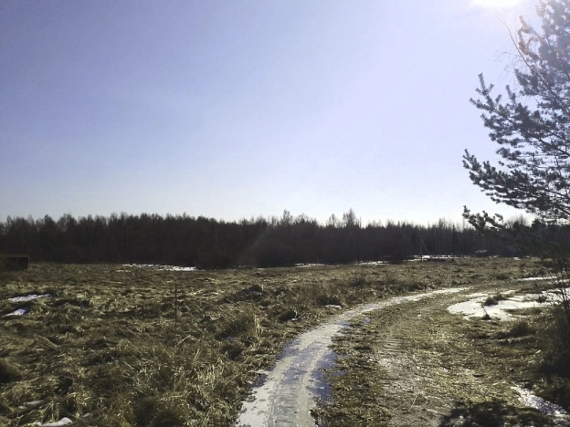 Купить земельный участок в Вологодской области. Вариант № 31269, 2, площадь -  квм, цена 350000 рублей