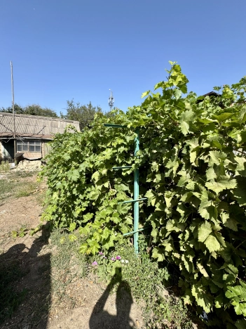 Купить дом в Таганроге. Вариант № 3205837, 3, площадь -  квм, цена 4100000 рублей