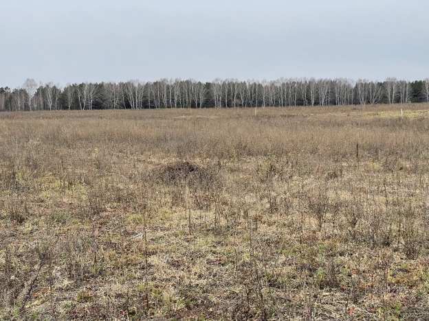 Купить земельный участок на улице Лесная в Тюменской области. Вариант № 3680, 12, площадь -  квм, цена 450000 рублей