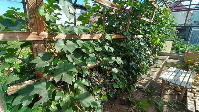 Купить дом в Микрорайоне Восточный, Тобольск в Тобольске. Вариант № 22430, 29, площадь -  квм, цена 15000000 рублей