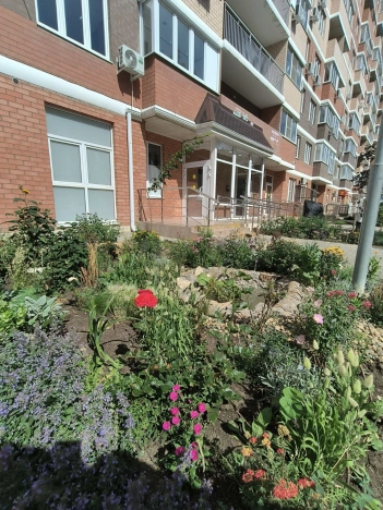 . Вариант № 8103957, 2, площадь - 34 квм, цена 4000000 рублей