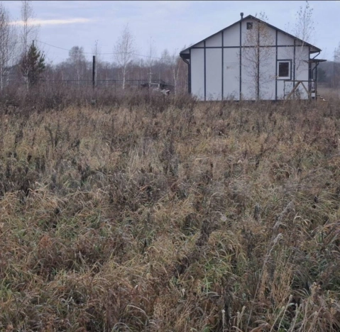 Купить земельный участок в Новосибирске. Вариант № 9269916, 7, площадь -  квм, цена 1100000 рублей