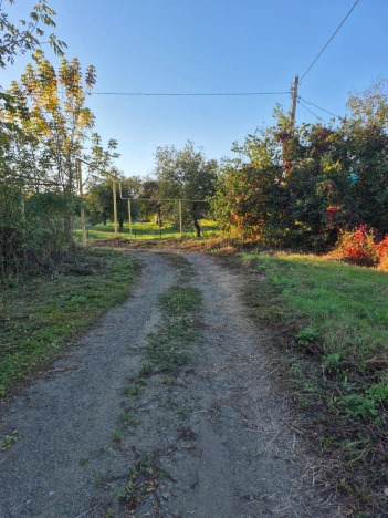 Купить дом в Воронеже. Вариант № 6064352, 10, площадь - квм, цена 2600000 рублей