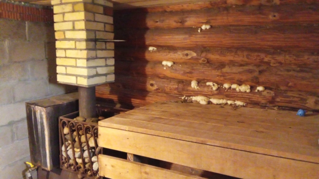 Купить дом на улице Раздольная в Оренбургской области. Вариант № 35977, 17, площадь - квм, цена 950000 рублей