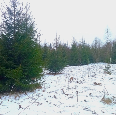 Купить земельный участок в Микрорайоне 56-й, Обнинск в Обнинске. Вариант № 15013, 9, площадь -  квм, цена 650000 рублей